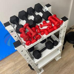 Купить Модульный стеллаж для гантелей, гирь  600х470х1160 в Сортавале 